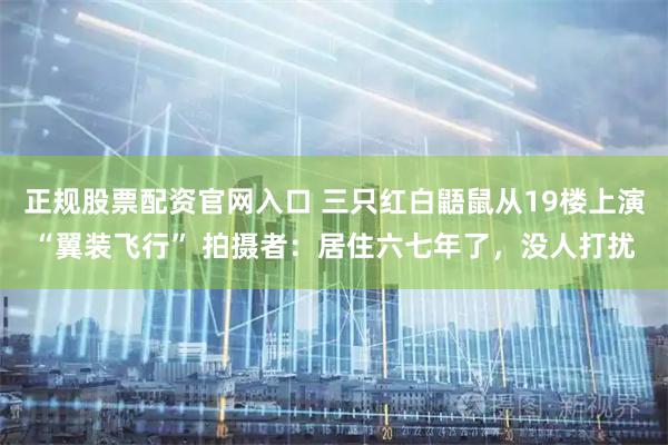 正规股票配资官网入口 三只红白鼯鼠从19楼上演“翼装飞行” 拍摄者：居住六七年了，没人打扰