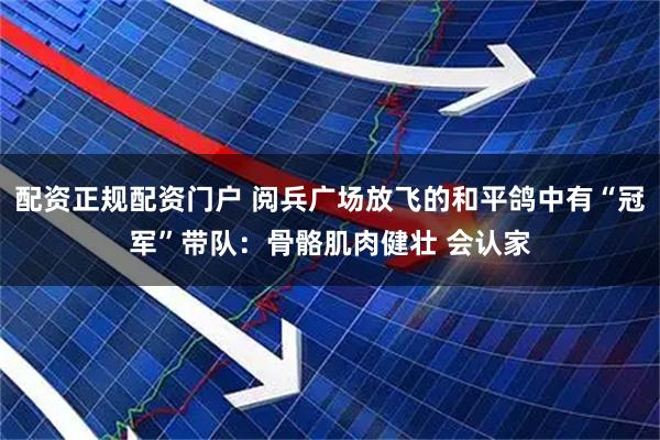 配资正规配资门户 阅兵广场放飞的和平鸽中有“冠军”带队：骨骼肌肉健壮 会认家