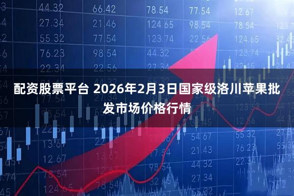 配资股票平台 2026年2月3日国家级洛川苹果批发市场价格行情