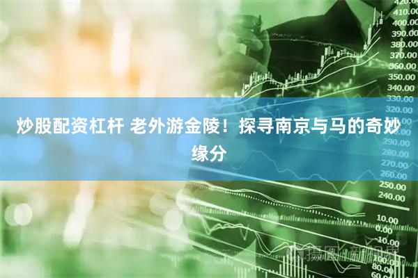 炒股配资杠杆 老外游金陵！探寻南京与马的奇妙缘分