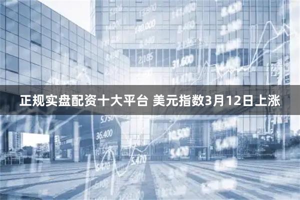 正规实盘配资十大平台 美元指数3月12日上涨